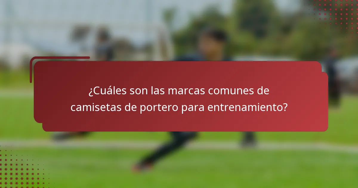 ¿Cuáles son las marcas comunes de camisetas de portero para entrenamiento?