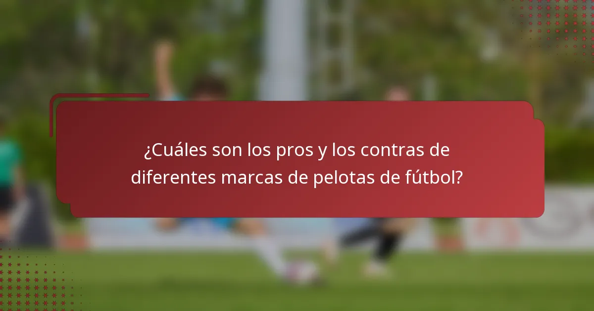¿Cuáles son los pros y los contras de diferentes marcas de pelotas de fútbol?