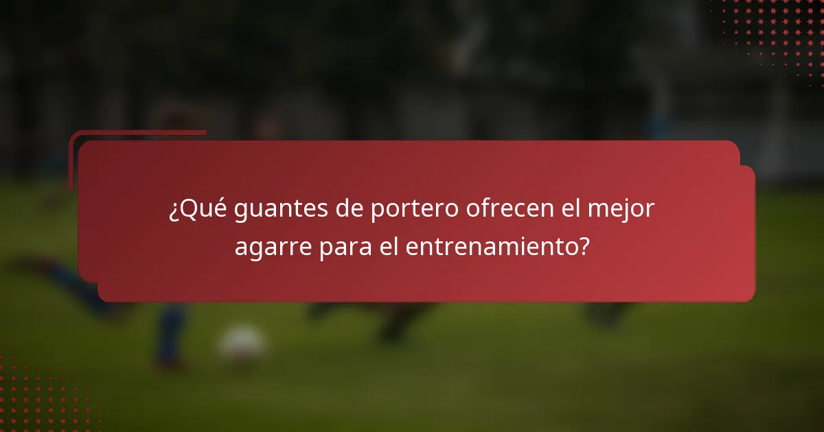 ¿Qué guantes de portero ofrecen el mejor agarre para el entrenamiento?