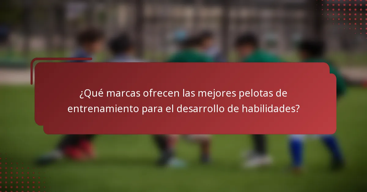 ¿Qué marcas ofrecen las mejores pelotas de entrenamiento para el desarrollo de habilidades?